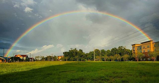 MSweetwood's tweet photo. Nothing like an end-to-end rainbow 🌈 to end a magical day of business at the University of Florida start-up accelerator. 💪 💵
#ShotonLG #LGV40ThinQ @lgus @lgusamobile @lgusa 📸 📱🌟
#rainbow #rainbowgram #floridasky #floridalife #gainsville #magicsky… https://t.co/ICrHC5Lv7d https://t.co/8y8jGoA2QC