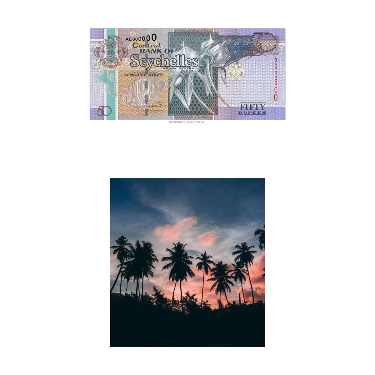 IncalEdiciones's tweet image. Un lugar donde los jueves saben a viernes. 

Hoy conocemos la Rupia seychelense. Este billete equivaldría a 50 o lo que es lo mismo 3,47 euros. 

El año del billete es de 2011. Lo que podéis ver es el Pez ángel real, orquídeas y pez vela. También aparece el escudo de armas.