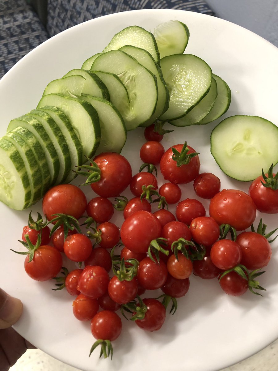 Benefits of a greenhouse PD?  Fresh vegetables for lunch.  Teachers are busy creating lessons to put our greenhouse to good use.