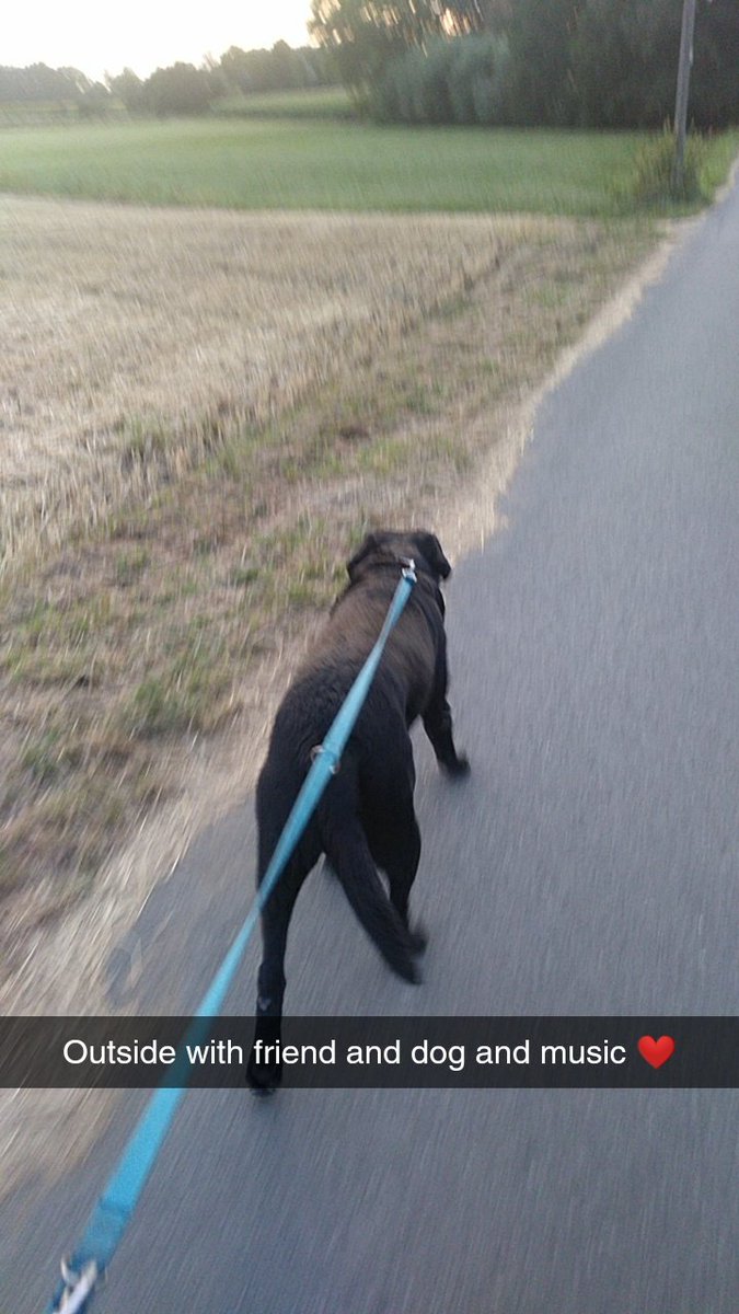 Ayleen_Miga's tweet photo. Go outside with my dog. In the sunset. 😍
#dog #hund #sunset #TrueColors #sonnenuntergang #nature #outside #outsiders #lack #bund #friend #친구 https://t.co/BNHchW7lbr