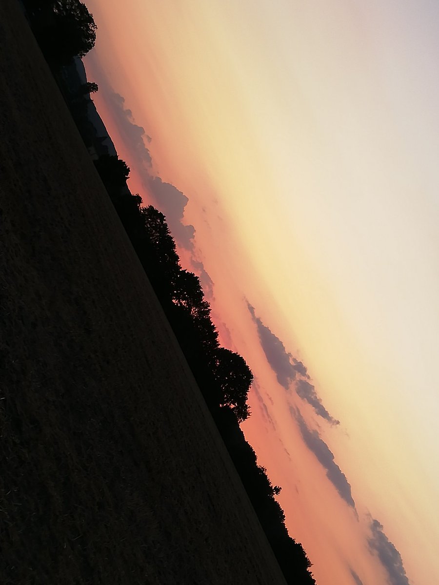 Ayleen_Miga's tweet photo. Go outside with my dog. In the sunset. 😍
#dog #hund #sunset #TrueColors #sonnenuntergang #nature #outside #outsiders #lack #bund #friend #친구 https://t.co/BNHchW7lbr