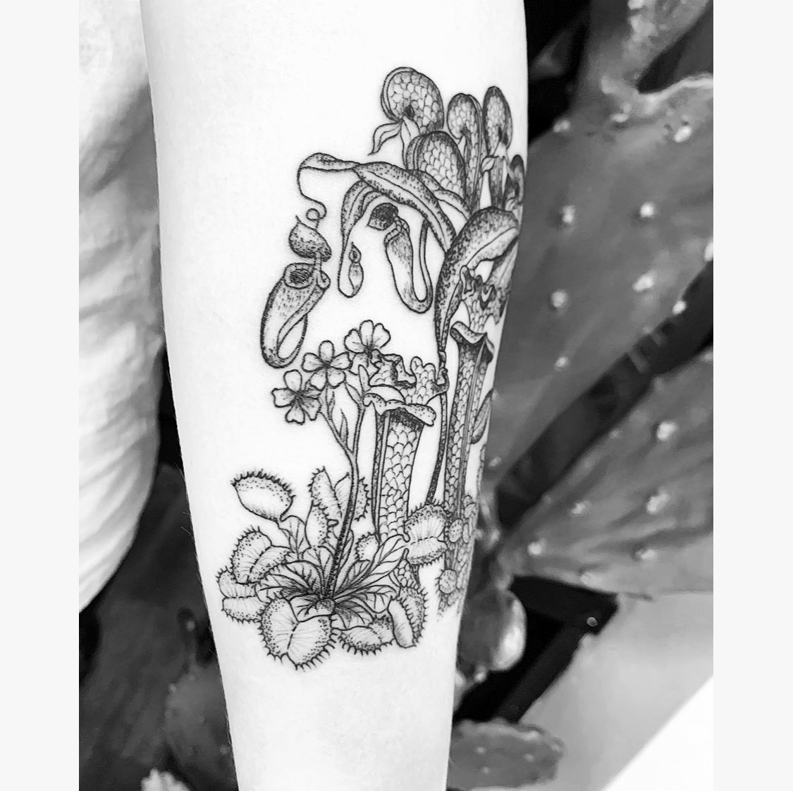 10 Carnivorous Venus Flytrap Tattoos  Tattoodo