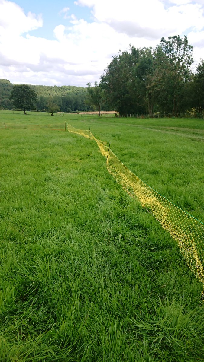 ruralpestctrl's tweet photo. Had an hour or so practicing setting 100 yard long net today with my dad 🤦♂️ should be an interesting season ahead. Coming to a youtube channel near you 😉 #pestcontrol #ferrets #ferreting #longnet https://t.co/JfCpW9Wa6b