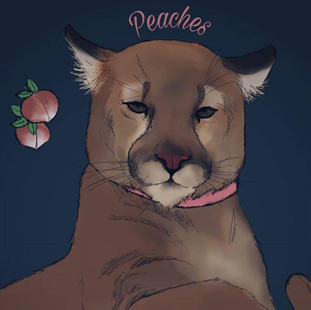 Far Cry New Dawn on Twitter "Don’t to show some love to Peaches