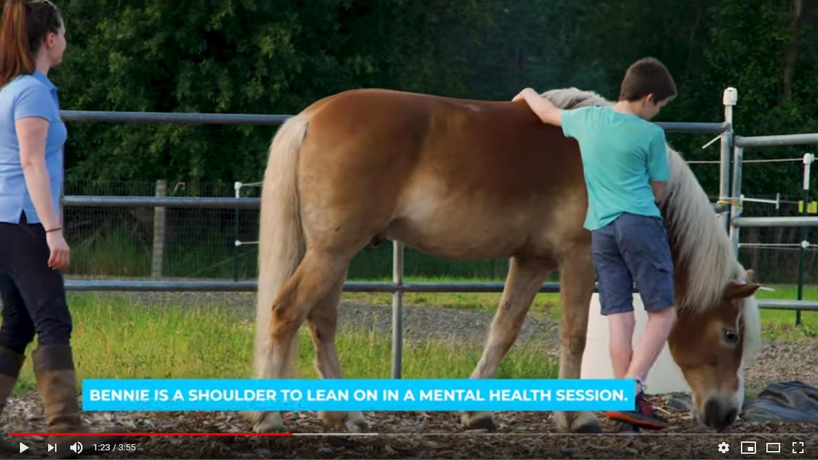 ForwardStride's tweet photo. New video alert! See what a great life our horses lead and then keep the donations flowing!
https://t.co/AHCqoygW2g
#forwardstride #nonprofit https://t.co/z49Sece24h