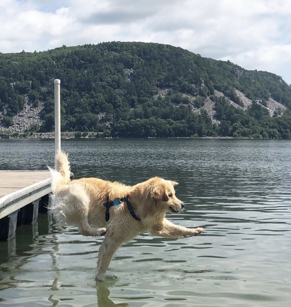 We only rate dogs. This is clearly Jesus. Please send in dogs. It really isn’t complicated. Thank you... 13/10