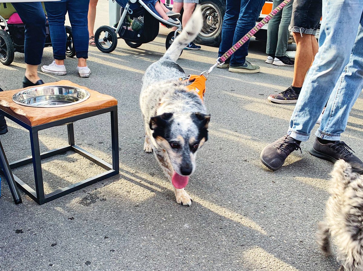 GrandDogInc's tweet photo. Market day is here! Greg and I have the week off and will return next week (August 15). Only 2 more market days left for us - make sure you come check us out before the end of our market season! #granddograw #dogsof124 @124grandmarket #124grandmarket #124street @shop124street https://t.co/cI7WR95JYI