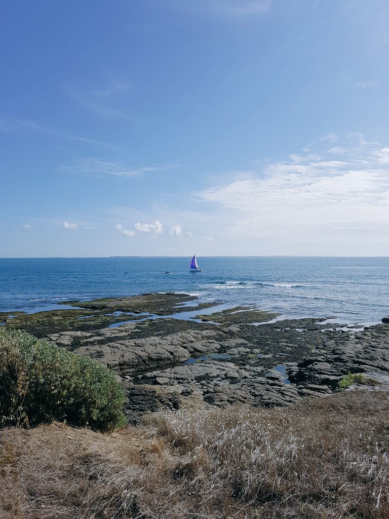 JoyceBelfort's tweet photo. I am back for summer number 3~~ #Prefailles #FrenchSummer https://t.co/OVAr3W7o1b