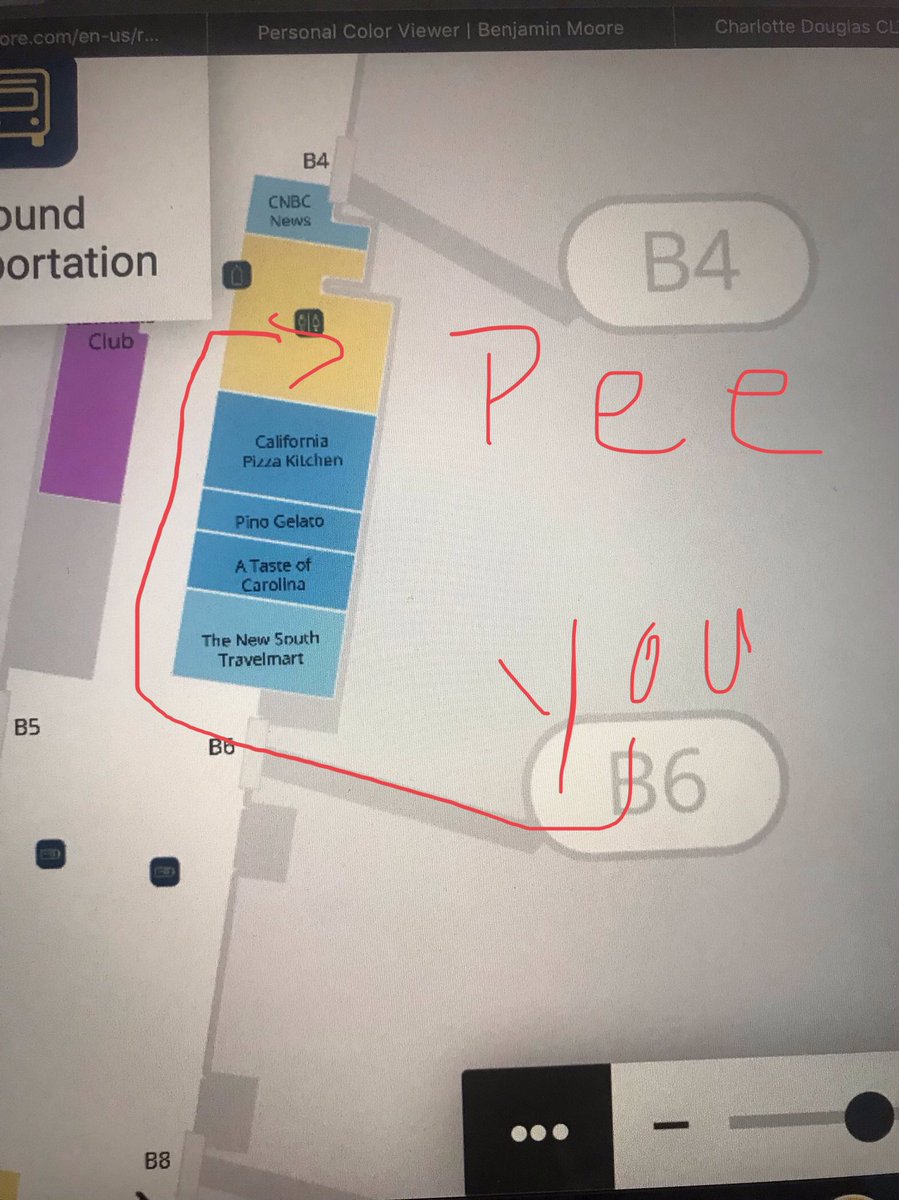 sara_crummett's tweet image. How I guide my mom through the airports.  I know her priorities. #textsupport