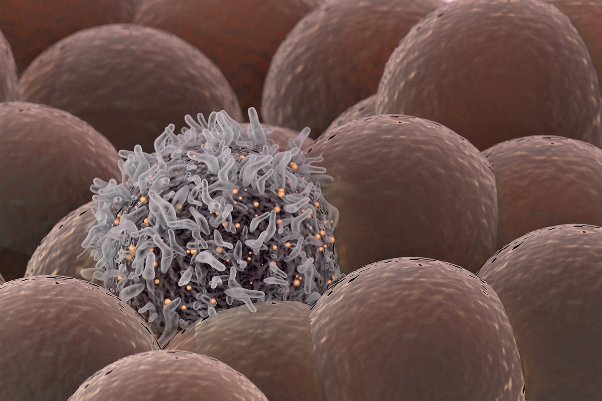 Sci2Medicine's tweet photo. Small molecule oncology drug market to exceed 66bn in 2019 according to a recent study from https://t.co/h9qBaMX2mB Celerion has over 500 off the shelf assays to support small molecule bioanalysis. #smallmolecule #oncology #bioanalysis #celerion  https://t.co/4TkOqXilgO https://t.co/gtlK4tSueo