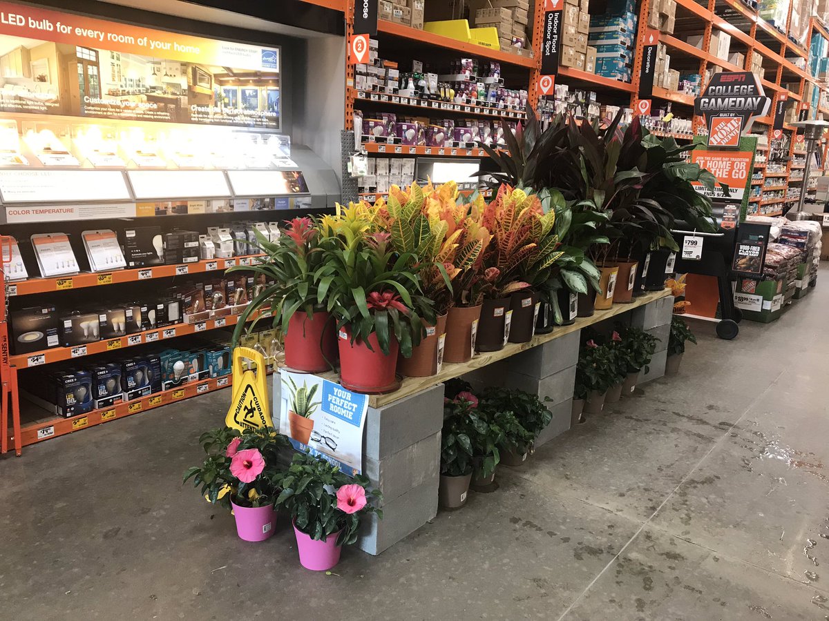 Greg Willey Gregwilley4 Twitter