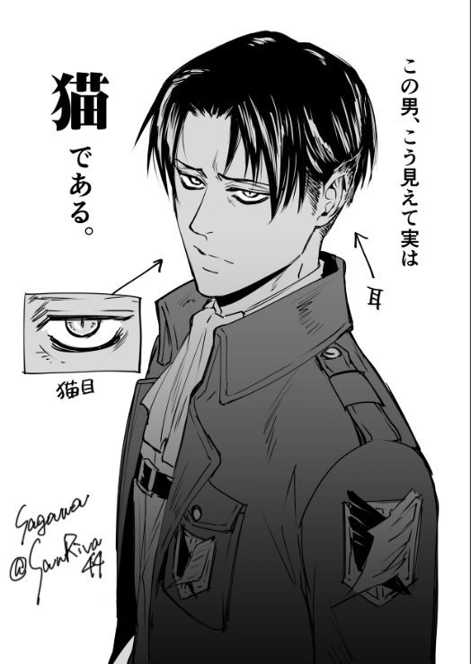 別マガ待ちでそわそわするので世界猫の日合わせにちょっと描きかけたけど、時間が来たので途中放棄。朝になったら本誌買ってくる…! 
