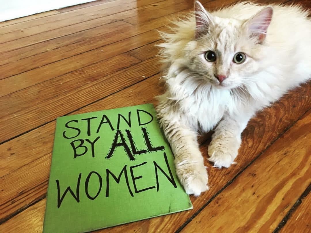 lawrencelibrary's tweet photo. "I fostered Tubbs from @lawrencehumane and he was the runt of the litter. The name was ironic.... but turned out to be a prophesy." - Kate, Info Services
#InternationalCatDay #LPLcats #LFKpets https://t.co/oJL3YmwP0N