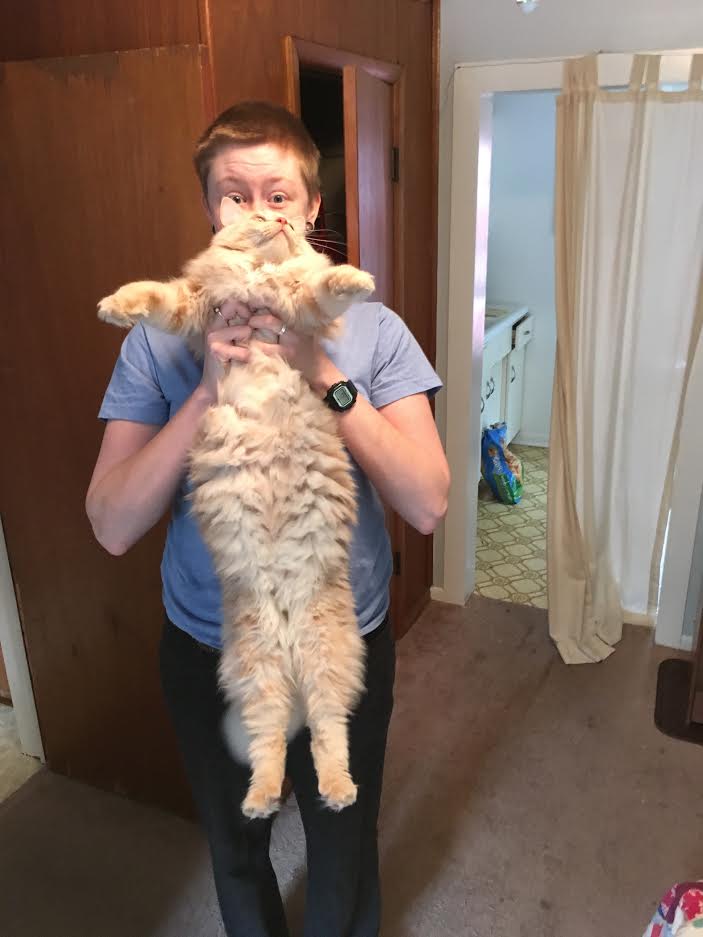 lawrencelibrary's tweet photo. "I fostered Tubbs from @lawrencehumane and he was the runt of the litter. The name was ironic.... but turned out to be a prophesy." - Kate, Info Services
#InternationalCatDay #LPLcats #LFKpets https://t.co/oJL3YmwP0N