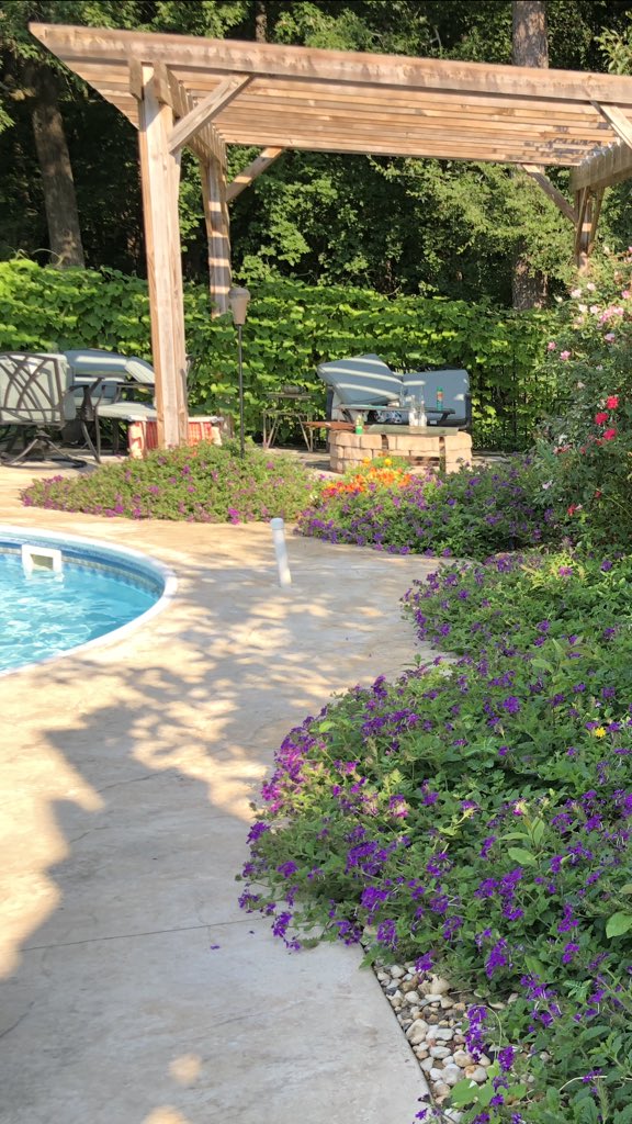 sophal2's tweet photo. Love my garden https://t.co/rvJCanRfHv