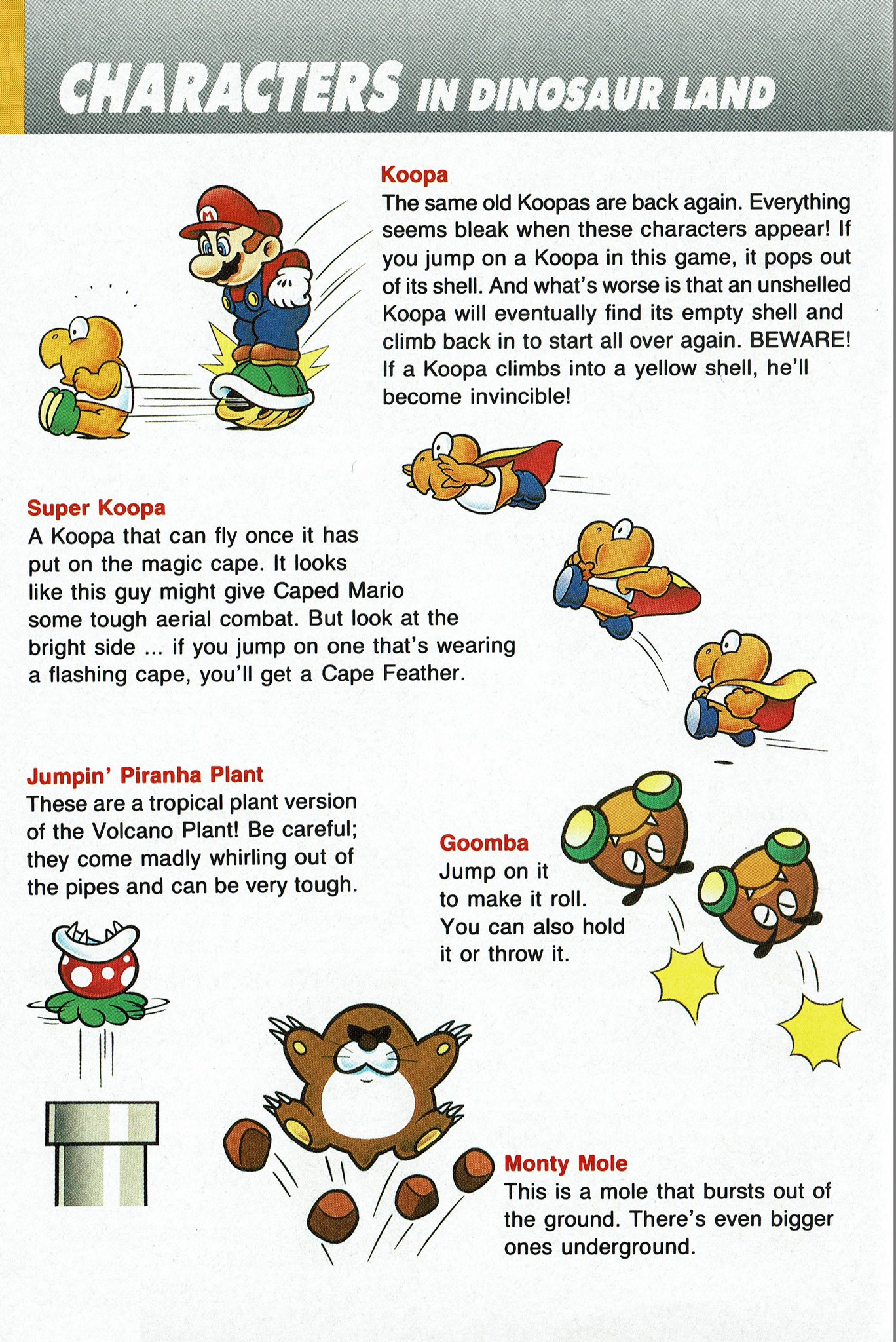 VideoGameArt&Tidbits on X: From the instruction booklet~ Mortal