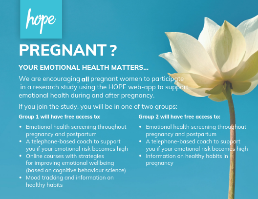 DrDawnKingston's tweet photo. Pregnant? Your emotional health matters! Join our study to test our HOPE web-app to support women's emotional health during and after pregnancy.
@ucalgarynursing #hopeapp #pregnancy #pregnant #MentalHealthMatters #maternalmentalhealth https://t.co/vsKS3Cjapt