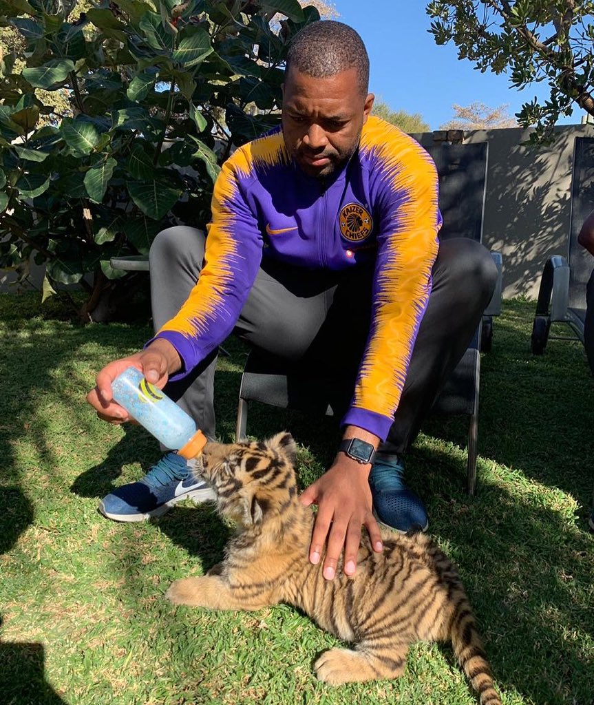 IIKHUNE_32_16's tweet photo. 🍼🐅 https://t.co/lAaQoBeSDU