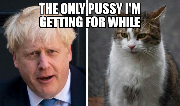 JayKing22045898's tweet image. @BorisJohnson must be glad to see the back of his old neighbours #InternationalCatDay #victimsofabuse #womenempowerment