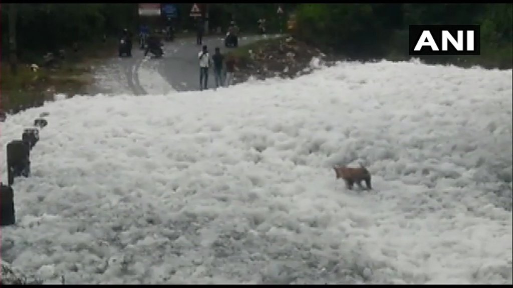 ANI's tweet photo. Tamil Nadu: Heavy discharge of toxic foam from textile factories seen on river Noyal in Coimbatore, foam also spills over on the roads. https://t.co/zE5Xd2DQLG
