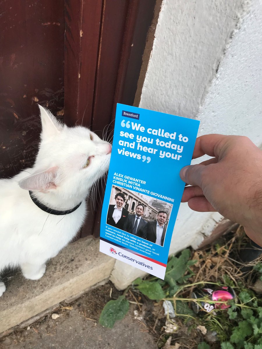 I did my part #InternationalCatDay <a href="/ToryCats/">Tory Cats</a> <a href="/ToryCanvass/">#ToryCanvass 🗳</a> #Cats #CatMeifyoucan #CatThat #CatThis