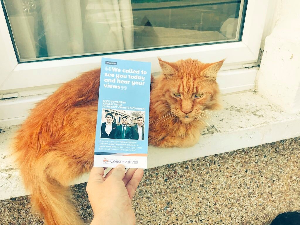 Chris Vinante 🇬🇧🇮🇹 tweet media