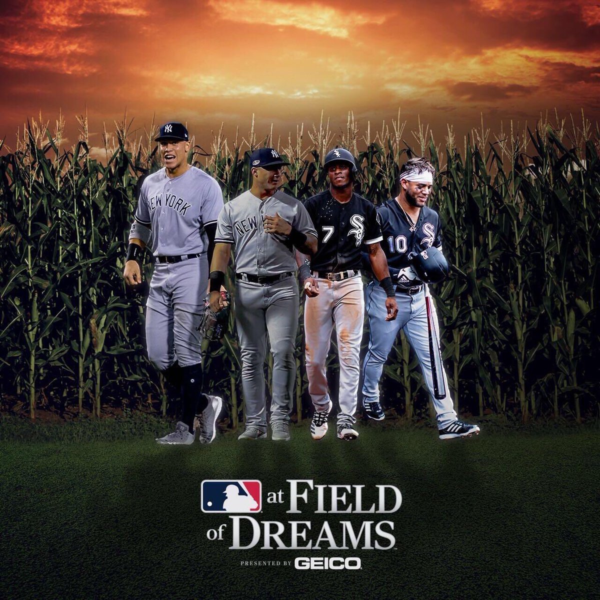 Pinetarapparel's tweet photo. If you build it, they will come. 😱 https://t.co/v2KHynlpGY