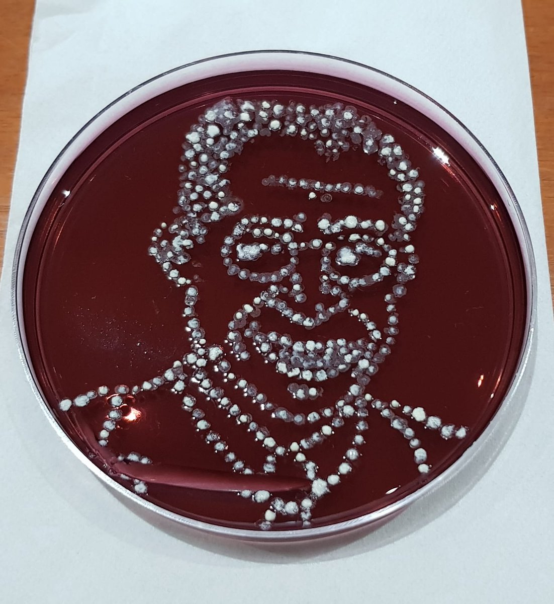 TeamBetaBlue's tweet image. 