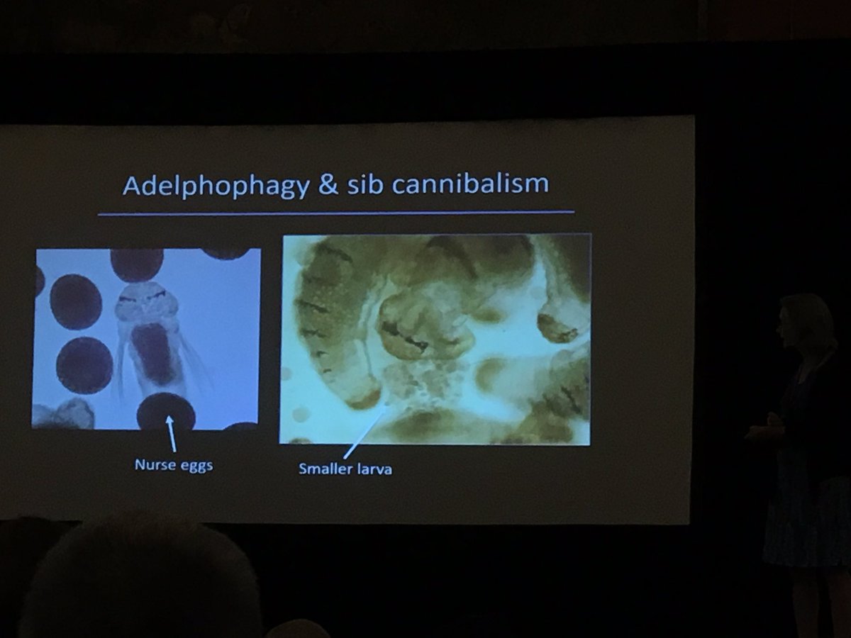 book creation and evolution 2010