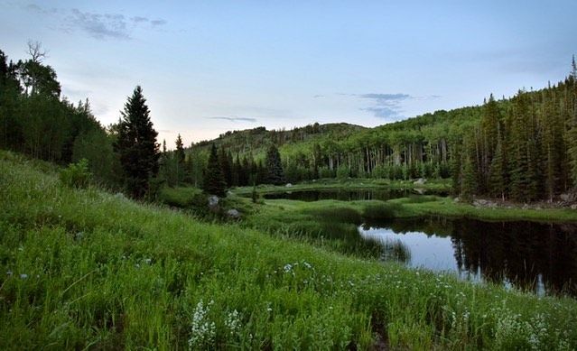 PassTheCOREAct's tweet photo. Lake Ridge Lakes is an ideal place to camp, contemplate, and soak up the beauty of the #thompsondivide. The #COREAct would permanently protect places like this in the 200,000 acres covered by the bill. 📷: Deirdre Denali Rosenberg Photography https://t.co/WP9MAeIlPY https://t.co/LyCUETTJ8J