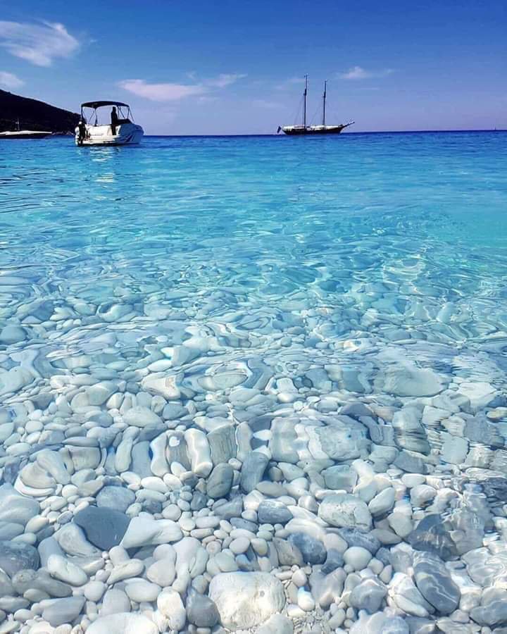 Queenshemo1's tweet photo. دا الواحد اكتشف انه كان بيصيف في زيت طعميه😹💔:L https://t.co/vvxEHaUFmm