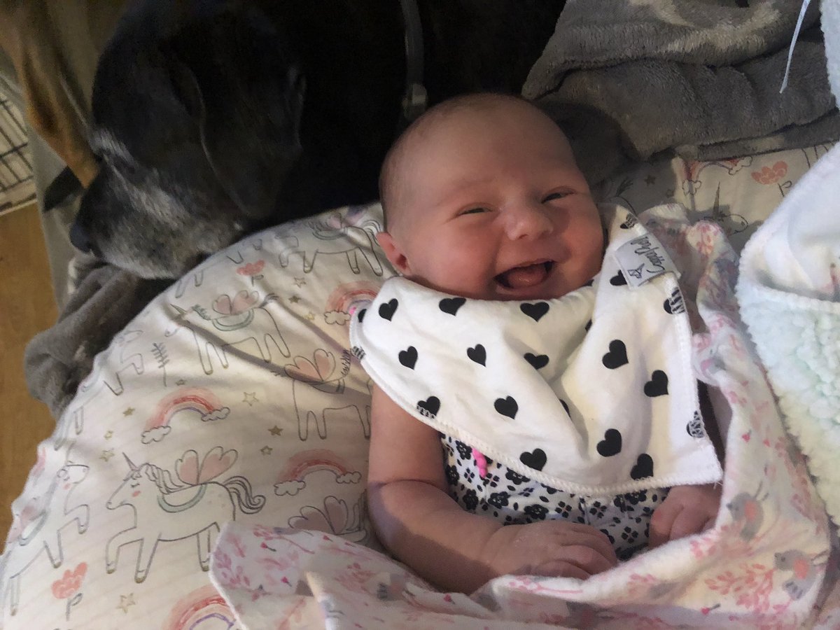 Vwgrlsdoitbtr's tweet photo. Happy newborns are the best 🥰 #newborn #babygirl #labpit #copperpearl https://t.co/0AcU9CzEH6