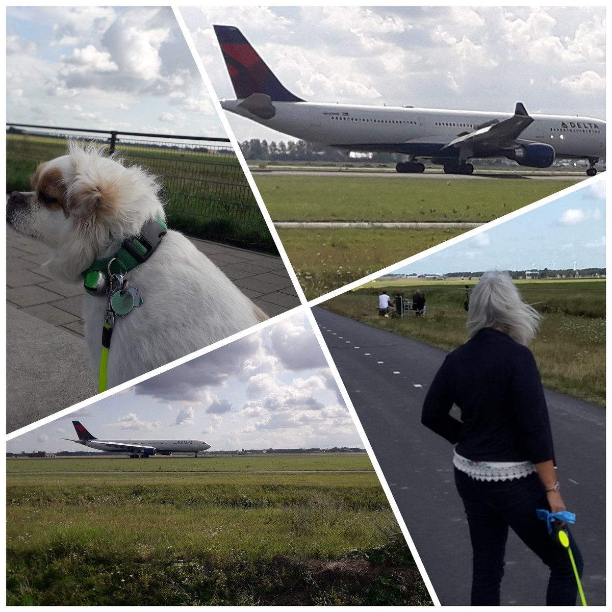 Vanmorgen vliegtuigen gespot....