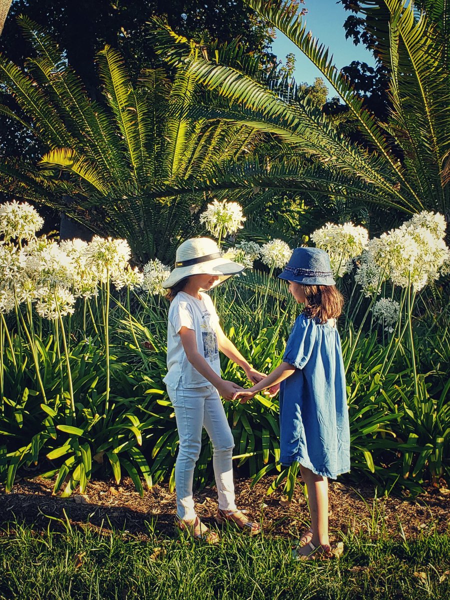 TheHuntington's tweet photo. It's a #HuntingtonMembers kind of wknd: 

Enjoy live music by The Fab 8 during our Members' Summer Evening this Sat. from 5:30-8pm (contributor level and above).🎶🥂

Stroll the gardens after hours on Sun. from 5:30-8pm (all members).🚶‍♀️🌄🚶‍♂️

More details: https://t.co/MrCUJsANHg https://t.co/EcJ0ZlUTmH