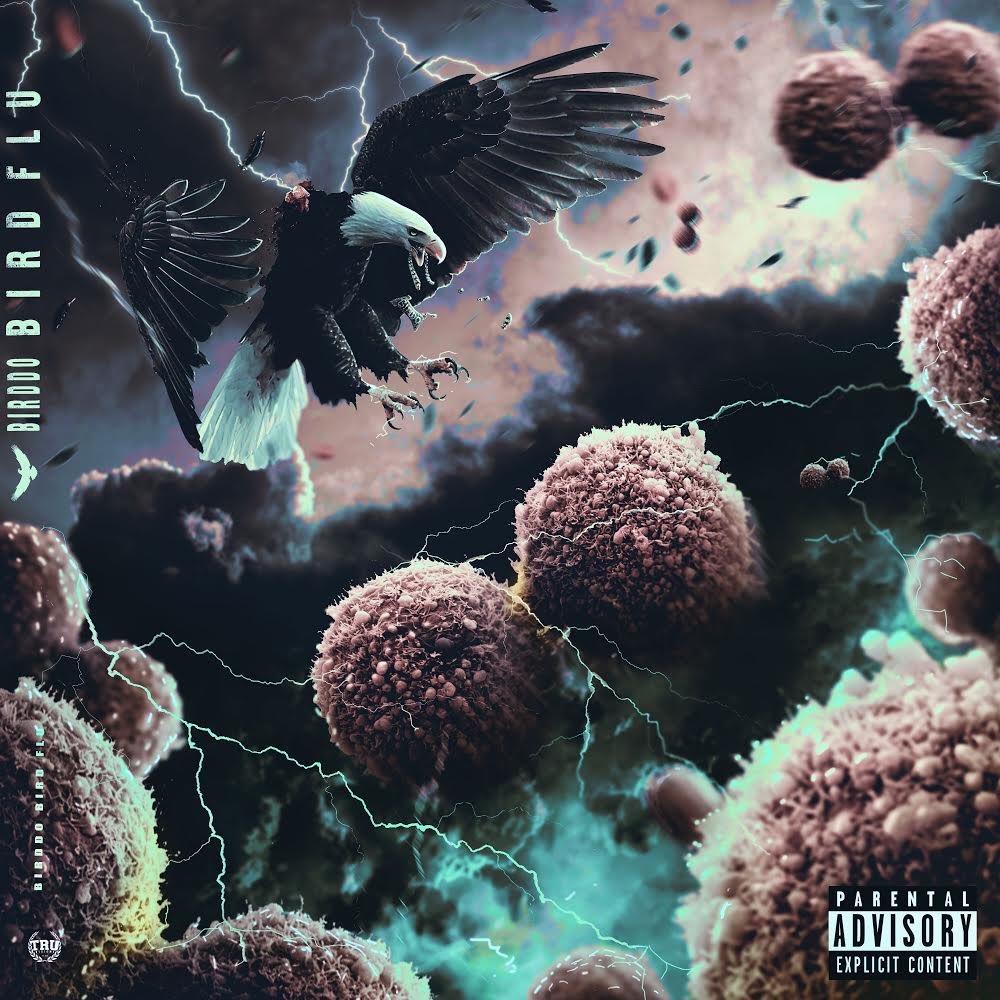 ITS OFFICIAL ✅ “ BirdFlu “ THE TAPE 💽 WILL DROP NEXT MONTH 📆‼️ ON ALL STREAMING PLATFORMS 🖥 ... STAY TUNED 🤞🏽 IT WAS DEFINITELY WORTH THE WAIT ⏳