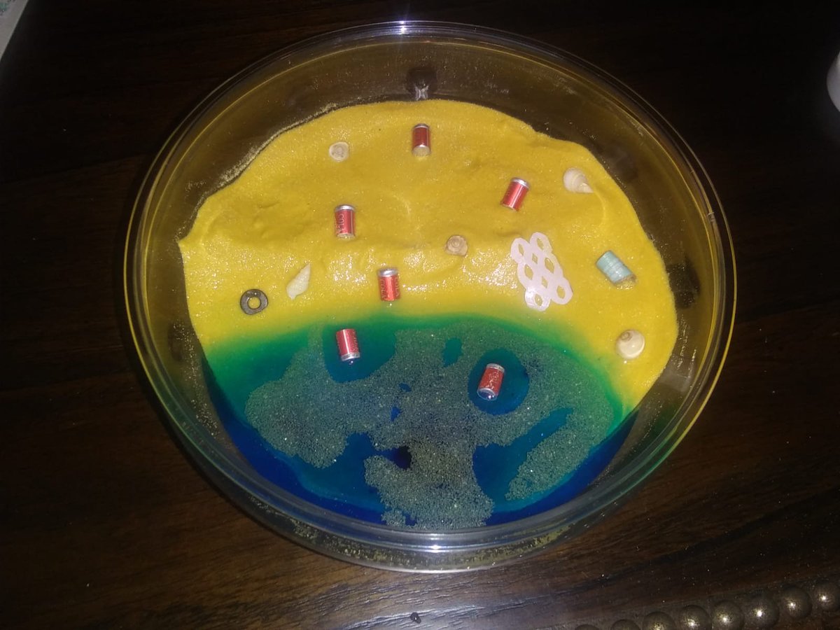 TeamBetaBlue's tweet image. 