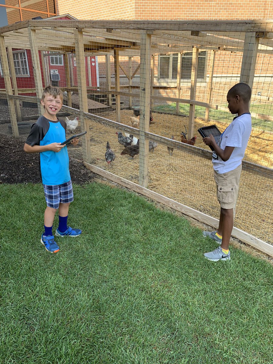 Mrs. Wilkins tweet media