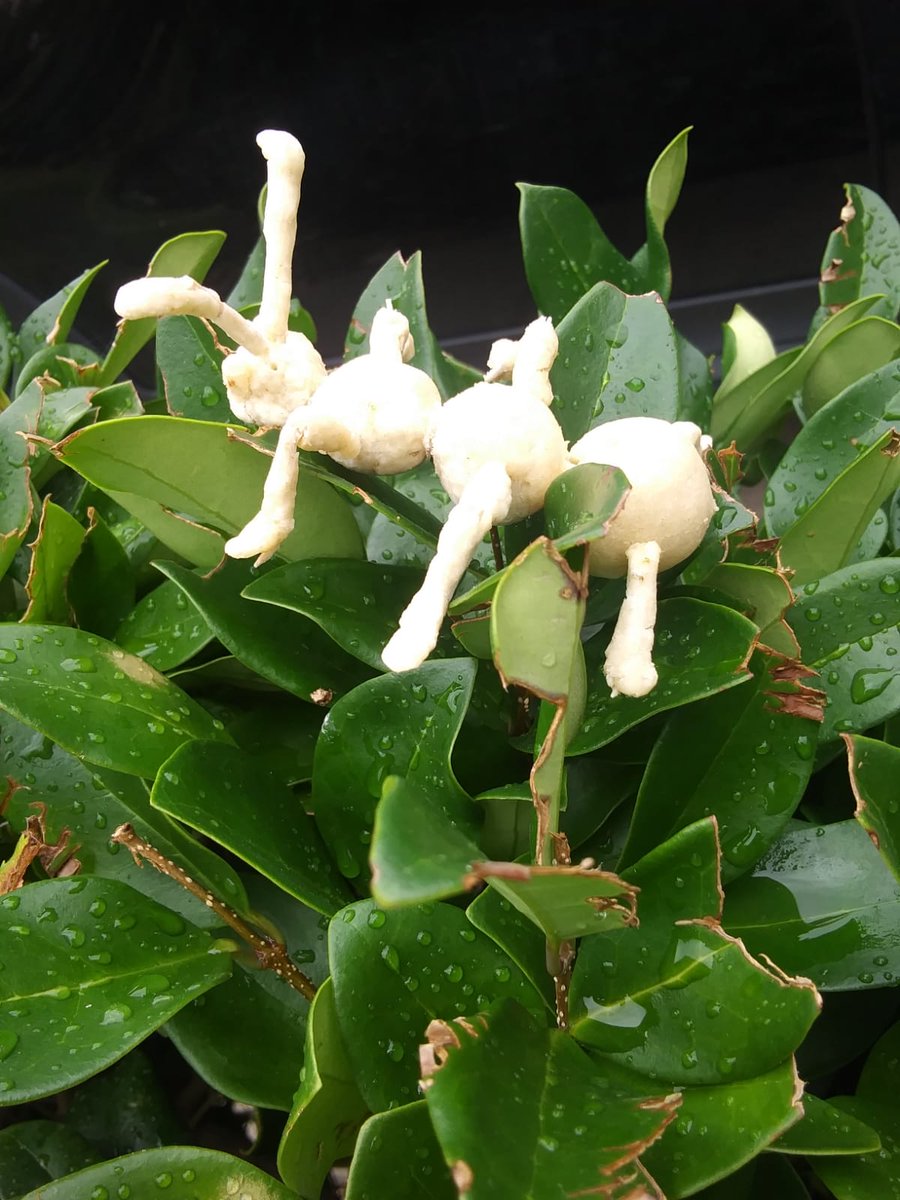 TeamBetaBlue's tweet image. 