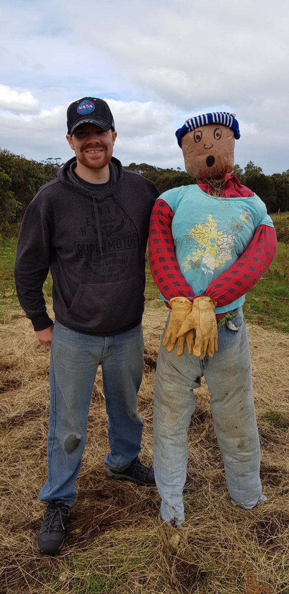 TeamBetaBlue's tweet image. 