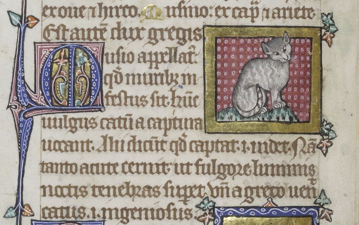 ParkerLibCCCC's tweet photo. 🐱Happy #InternationalCatDay 2019 from us and a selection of our favourite famous felines from #CCCC53 & #CCCC272!
#MedievalTwitter #marvelousmss #bestiary https://t.co/eYT7f7eWU7