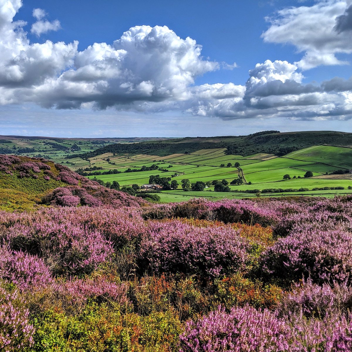 Grand Yorkshire Tours tweet media