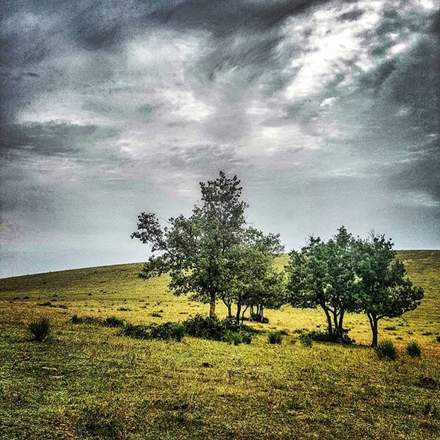 chrisilvi's tweet photo. Spazi 
#landscape #nature #tree #clouds #trailrunning #sport #igersitalia #igersmarche #igersmacerata #musone #sorgente #mountain #running #training #summer #skyporn #marchetourism #raccontidimarche #destinazionemarche https://t.co/d8nfo2hy6v https://t.co/2R0XZgkGT9