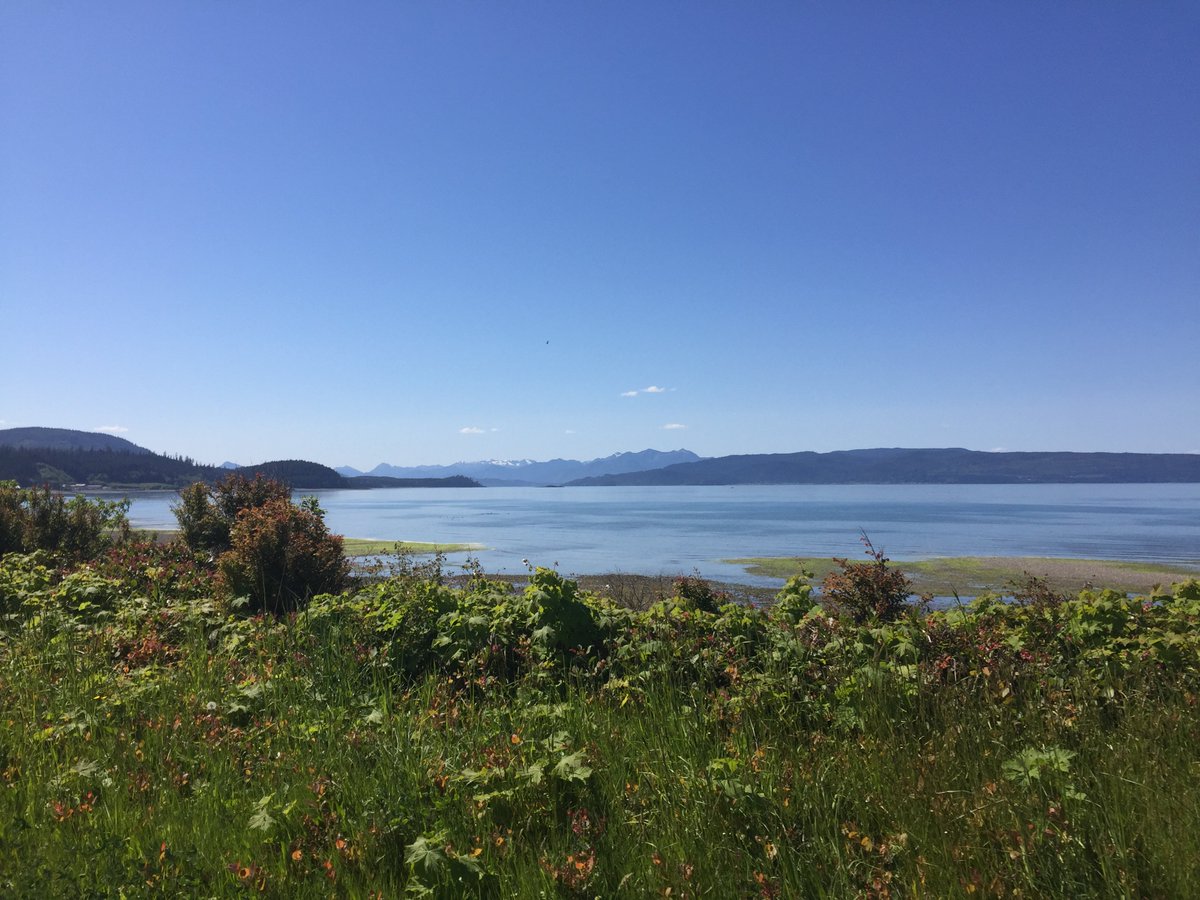 We've committed more than $500,000 to support #economicdevelopment projects in #NorthernBC.

Projects include gymnasium renovations, trail rehabilitation, equipment in the Upper Skeena Rec Centre and runway rehabilitation for <a href="/YXJAirport/">YXJ Airport</a>.
Details: northerndevelopment.bc.ca/news/northern-…
#ecdev