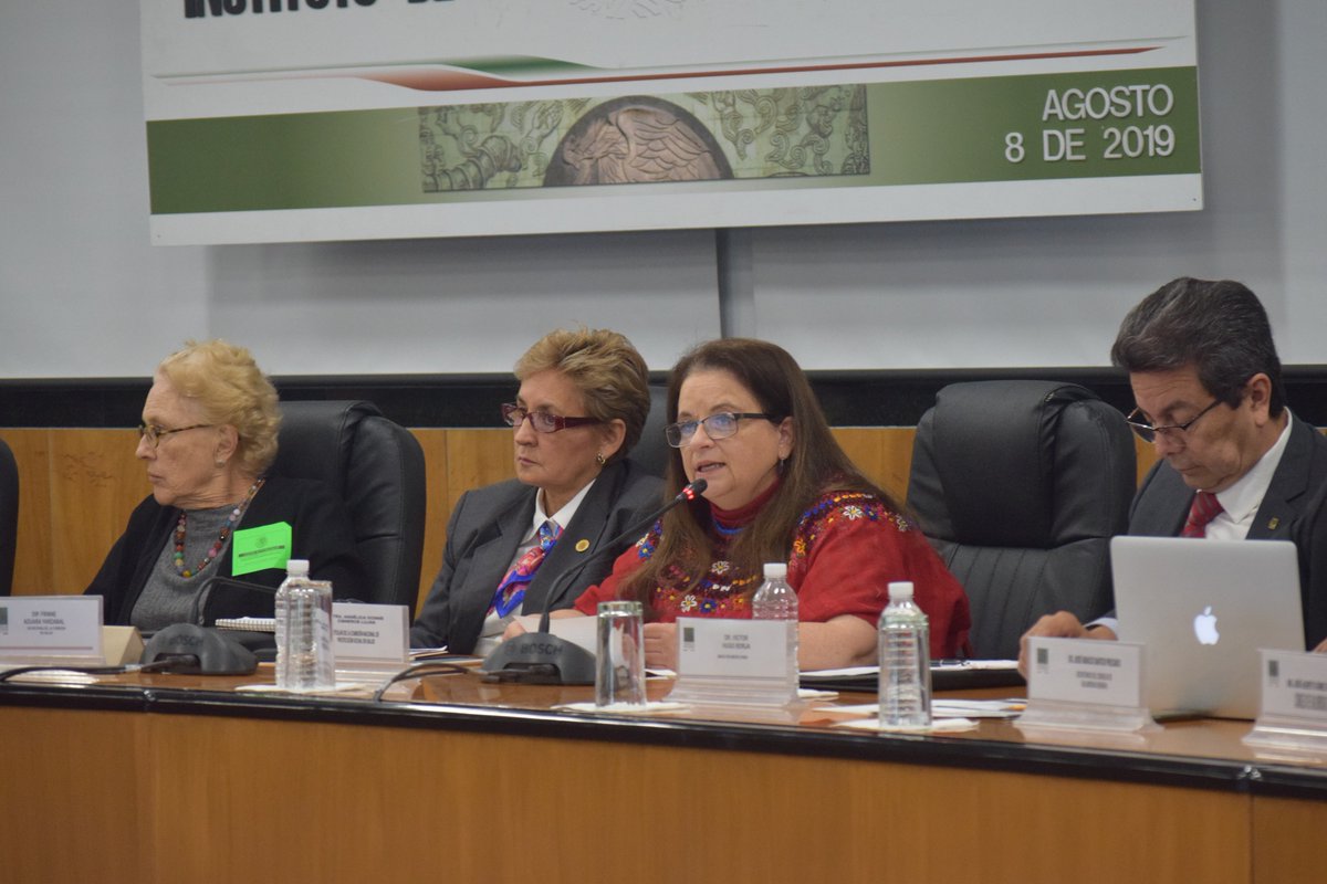 Seguro_Popular's tweet photo. La Comisionada Ivonne Cisneros, destacó que el Instituto de Salud para el Bienestar dará vida a un Sistema de Salud de Derechos, eliminando toda desigualdad en el acceso y sustentado en un financiamiento solidario.

Audiencias públicas para la creación del #INSABI @Diputados_mx https://t.co/DMR8qD6uCj