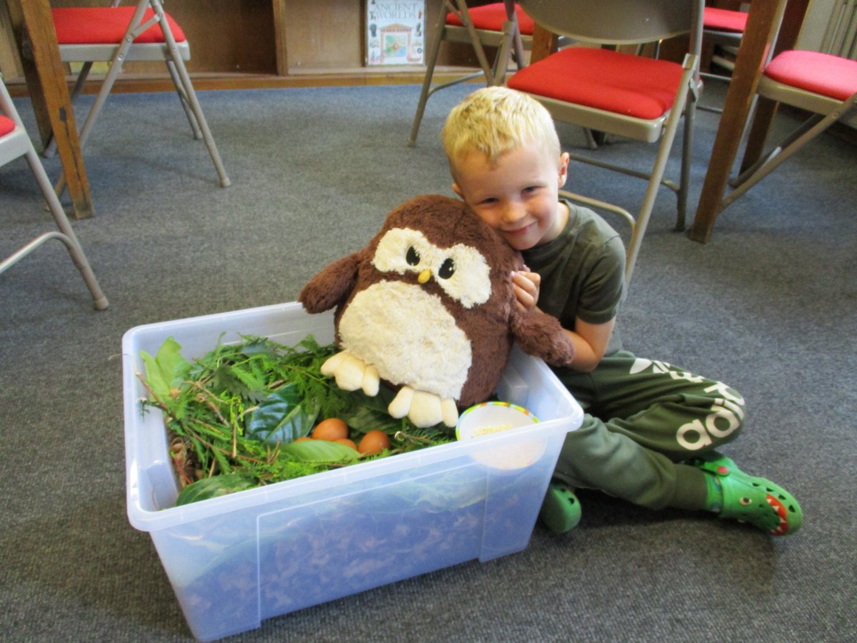 LancsLibraries's tweet image. We loved Adam&apos;s owl nest at #PadihamLibrary complete with food and eggs! He had researched it and created it for his #SCARTClub Science task - well done Adam! #LancsRJ