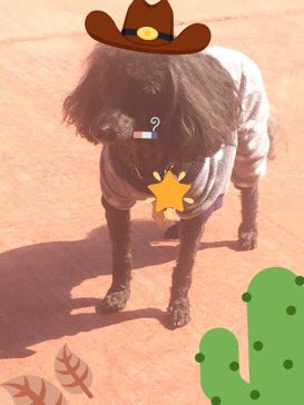 Ser Clean tweet media