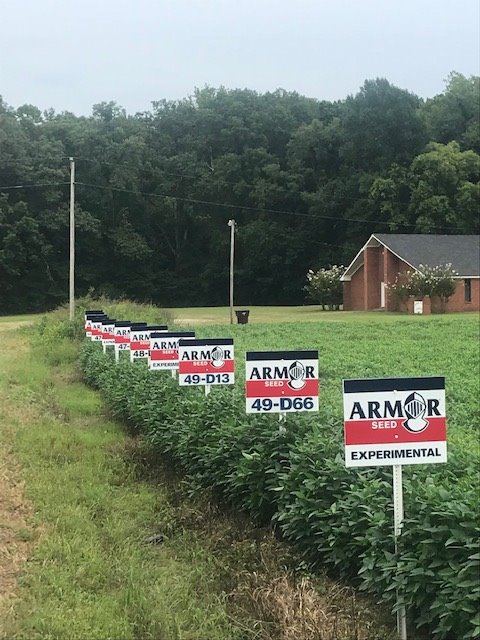 ArmorSeed's tweet photo. The #prettybeans are in full force today! Bringing you an update on a nice-looking @ArmorSeed bean plot on Jody Murphey in Tippo, Mississippi. #ArmorBeans #startstrong #plotcheck https://t.co/NSyXsNOY8l
