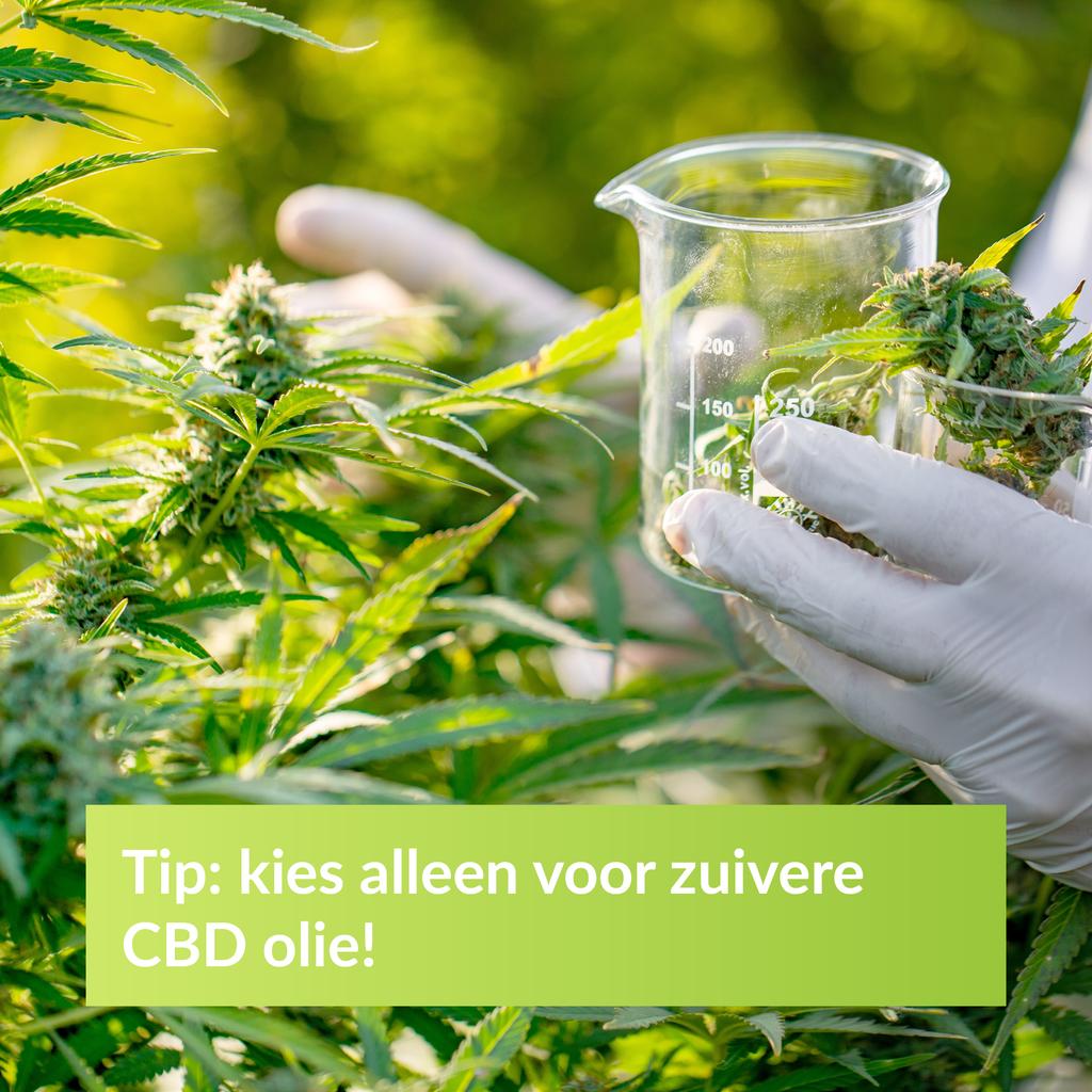 BAC_CBD_OLIE's tweet photo. Kies alleen voor zuivere CBD olie! Onze olie is goed gezuiverd van kunstmest en bestrijdingsmiddelen. Er zijn ook aanbieders op de markt waarbij dit niet het geval is. 🔍 Controleer daarom goed of de CBD olie betrouwbaar is! https://t.co/knZsNV0hmY https://t.co/WYHMsVEP7o