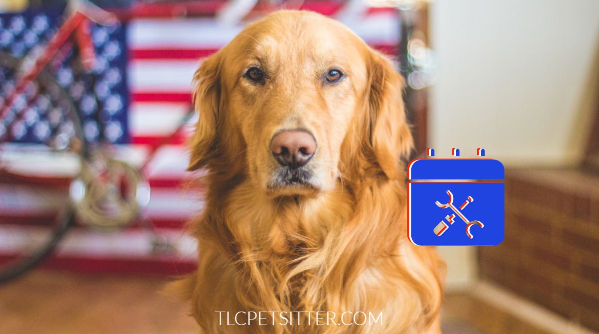 TLCpetsitter's tweet photo. Remember to book services now for Labor Day!
#mesaaz #welovedogs #tlcpetsitter #dogsofchandler #dogoftheday #gilbertaz #tempeaz https://t.co/eSBa3n5OA9