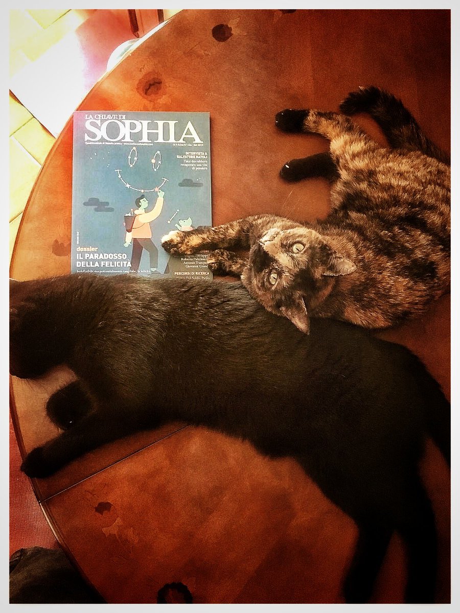 EdizioniNodo's tweet photo. Oggi, in un giorno speciale, vogliamo festeggiare due nostri lettori affezionati: Luke e Leila impegnati in letture interessanti! 🐈🐱💕 #InternationalCatDay 
#NodoEdizioni #LaChiavediSophia https://t.co/2rMsMch3Q1
